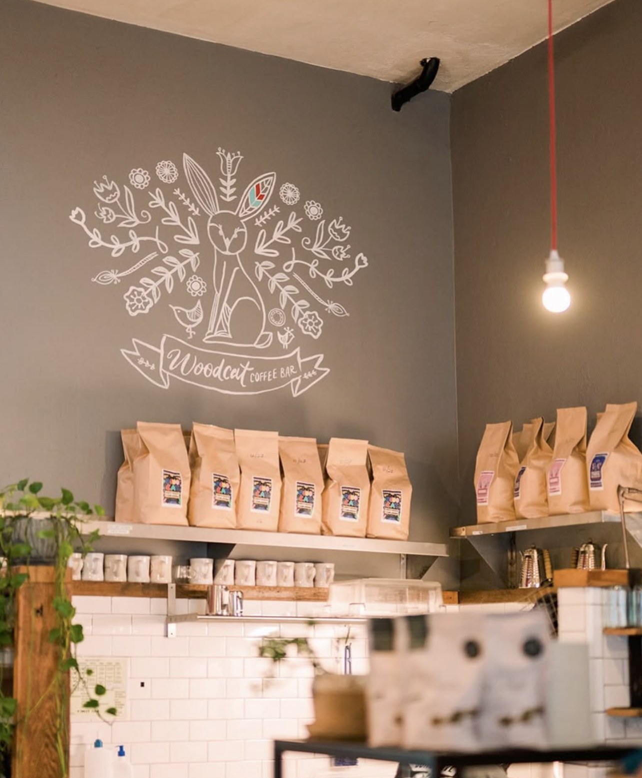The Woodcat Coffee Bar wall mural above shelves of retail coffee bags